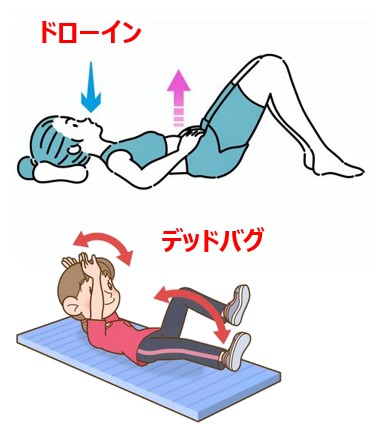 ドローインとデッドバグのイラスト