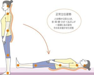 寝た時に正常立位姿勢を保てるかがマットレス選びで大事