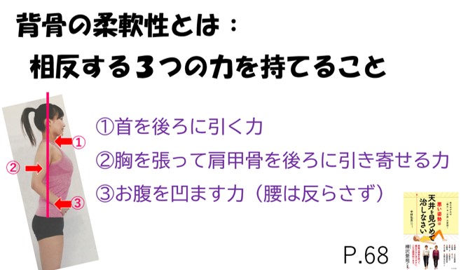 背骨の柔軟性 背骨の柔軟性とは相反する3つの力を同時に保てること